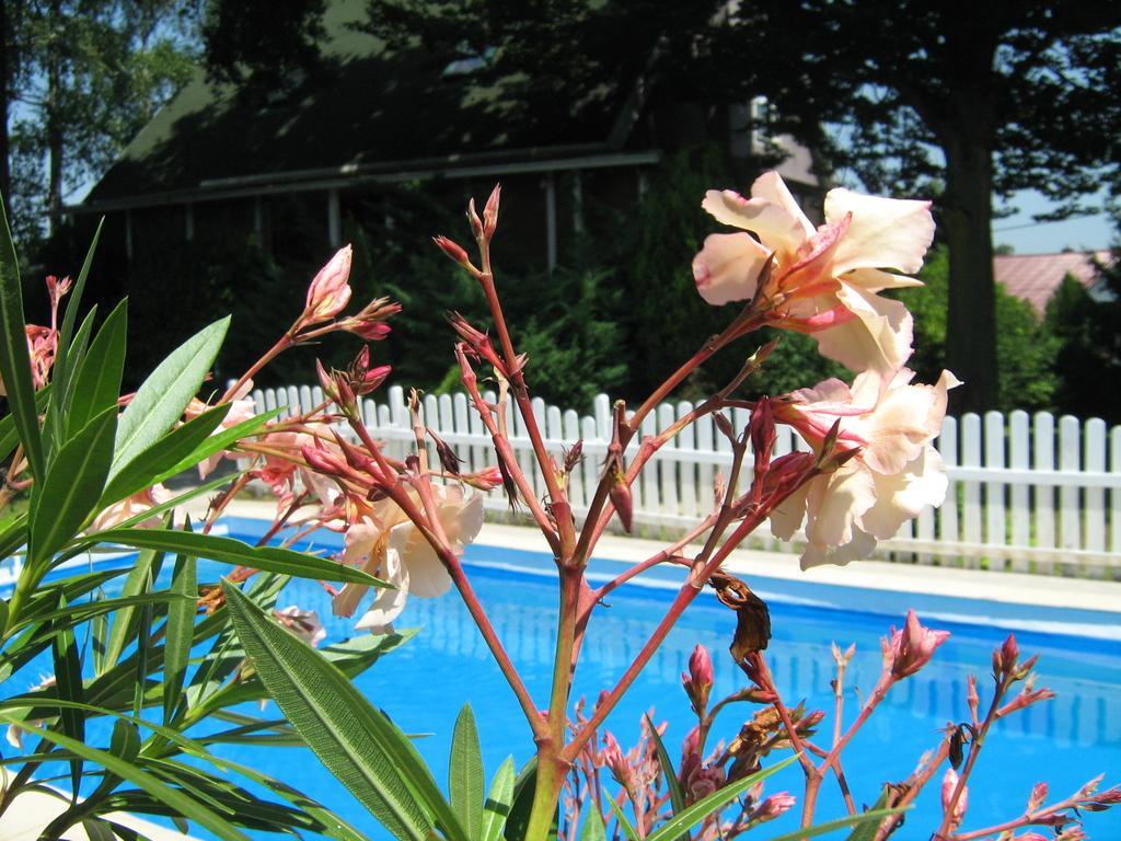 Guest House Westwood Kraljevec Kupinecki 객실 사진